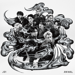 『ANIMAL』Regular Aジャケット写真