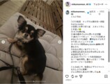 田中美久、江ノ島で“一目惚れ”デニムコーデの画像