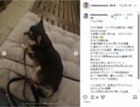 田中美久、江ノ島で“一目惚れ”デニムコーデの画像