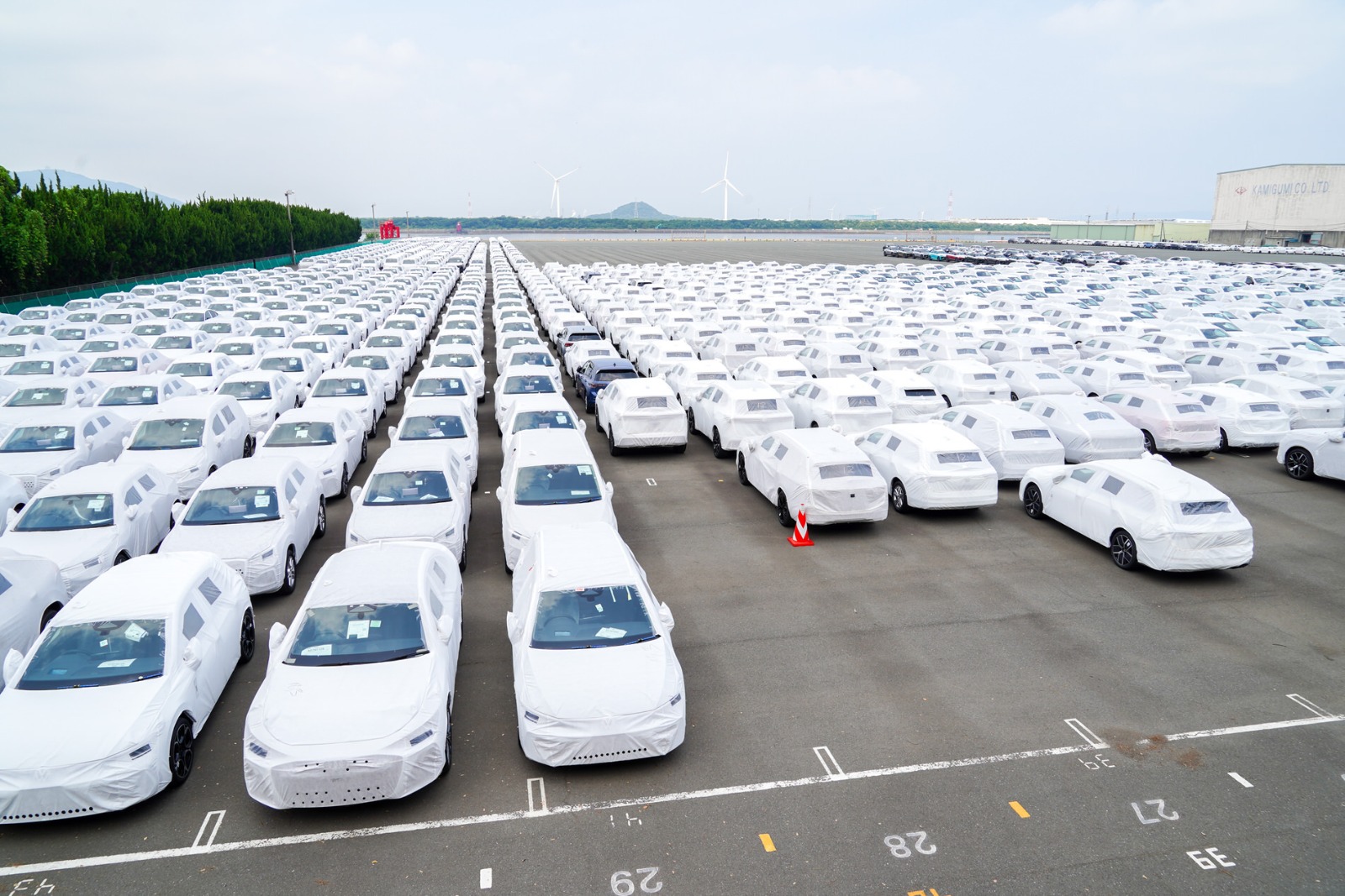 輸送から到着したずらりと並んだ車の数々