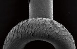 ダメージ処理した毛髪
