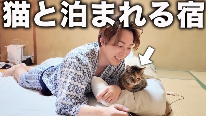 部屋まで遊びにきてくれる? “猫と泊まれる”話題の宿をYouTuberが紹介 愛らしい姿に悶絶「可愛い」