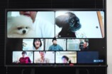 野田クリスタルがプロデュースしたペットのトレーディングカード生成ゲーム『うちのこカード伝説』