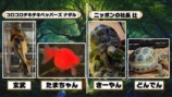 野田クリスタルがプロデュースしたペットのトレーディングカード生成ゲーム『うちのこカード伝説』