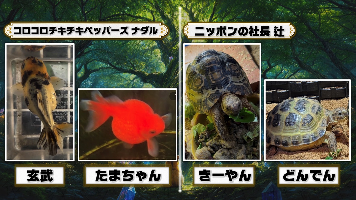 野田クリスタルがプロデュースしたペットのトレーディングカード生成ゲーム『うちのこカード伝説』