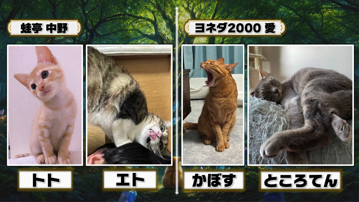 野田クリスタルがプロデュースしたペットのトレーディングカード生成ゲーム『うちのこカード伝説』