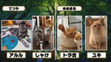 マヂラブ野田『うちのこカード伝説』レポの画像