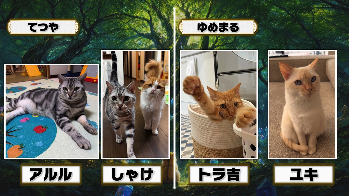 マヂラブ野田『うちのこカード伝説』レポの画像