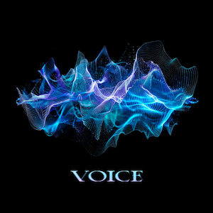 「VOICE」ジャケット写真