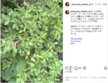 鈴木愛理、デコルテ＆ウインクショットの画像
