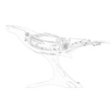 内部機構と尾びれのリンク構造を描いた機械式ザトウクジラの側面設計図