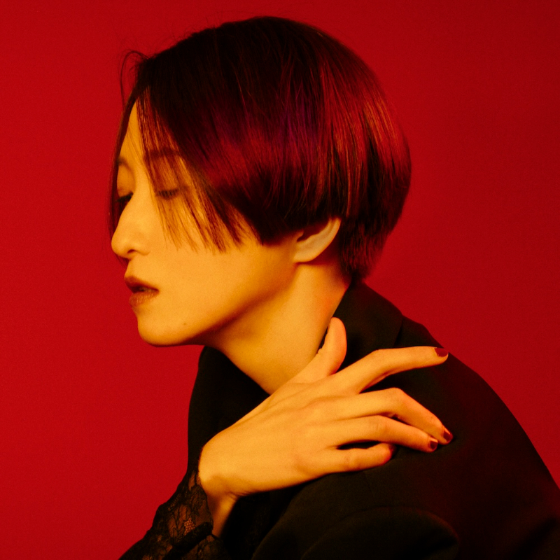 日食なつこ、新曲配信&ジャケ写公開