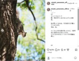 山本美月、NYでの”仲睦まじい”父との旅行の画像
