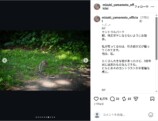 山本美月、NYでの”仲睦まじい”父との旅行の画像