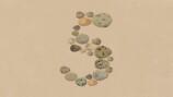 Anthropic「Claude Opus 5」発表の画像