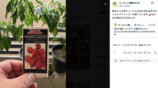 『映画ちいかわ』の盛り上がりは二郎まで？の画像