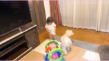 西野未姫 公式YouTubeチャンネル