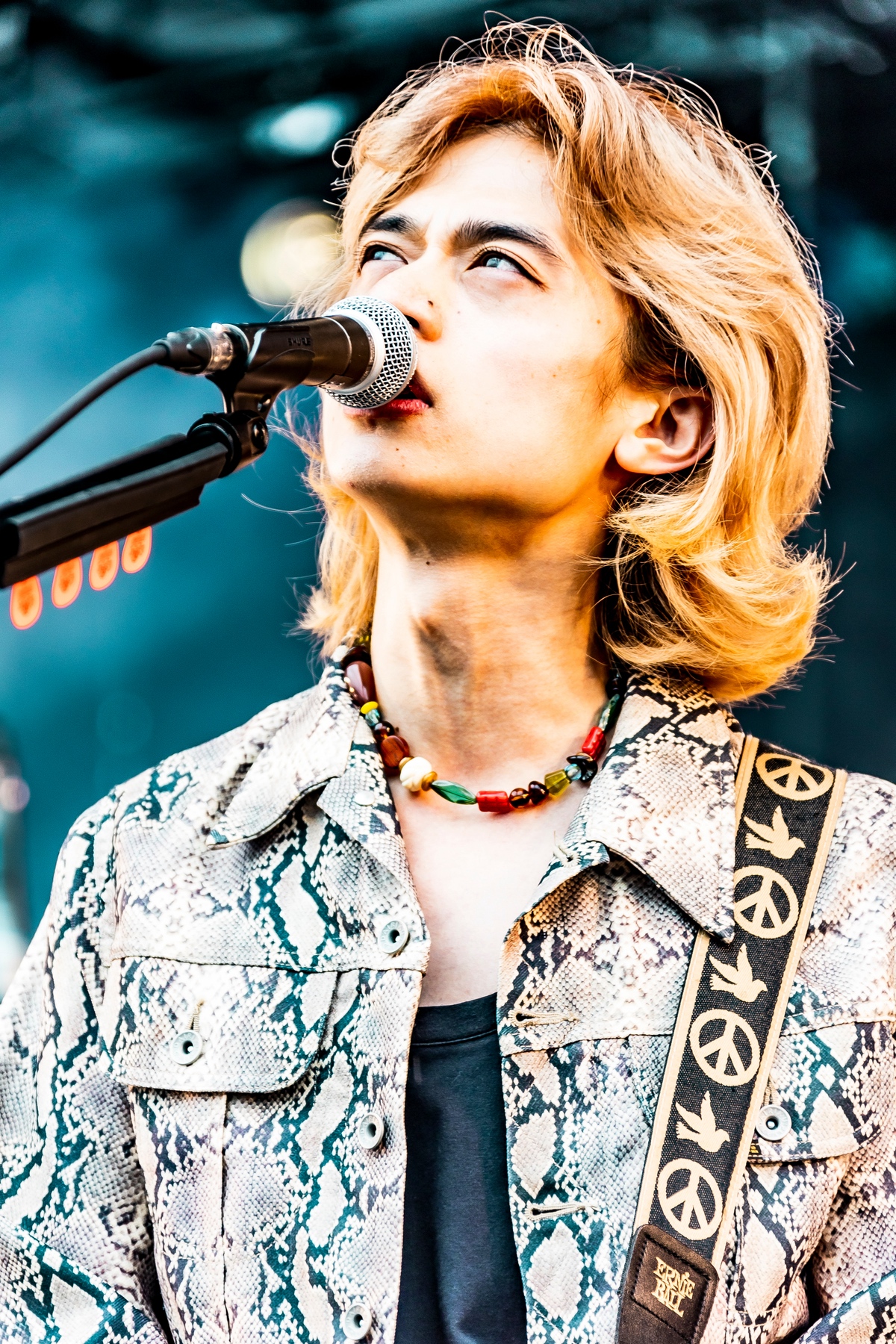 『京都大作戦2026』ライブ写真