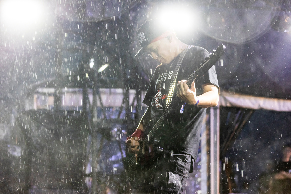 『京都大作戦2026』ライブ写真