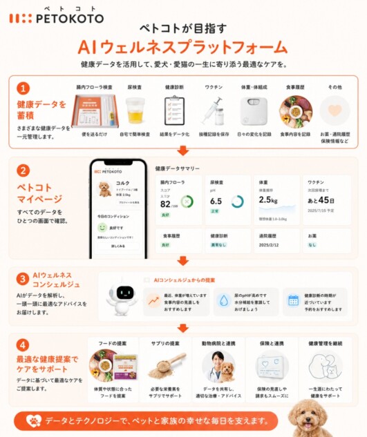 プラットフォーム内容