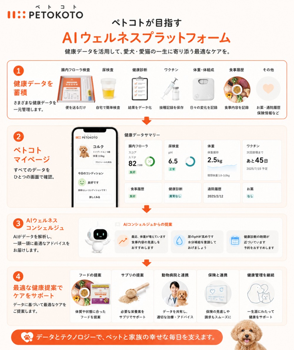 プラットフォーム内容