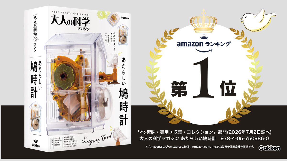 組み立て式の本格からくり鳩時計の画像