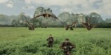 『プリミティヴ・ウォー』は“立ち会う”映画の画像