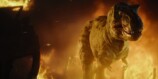 『プリミティヴ・ウォー』は“立ち会う”映画の画像