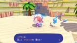 『ぽこ あ ポケモン』追加パス試遊レポートの画像