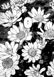 【漫画】同姓の同性と偽装夫婦の画像