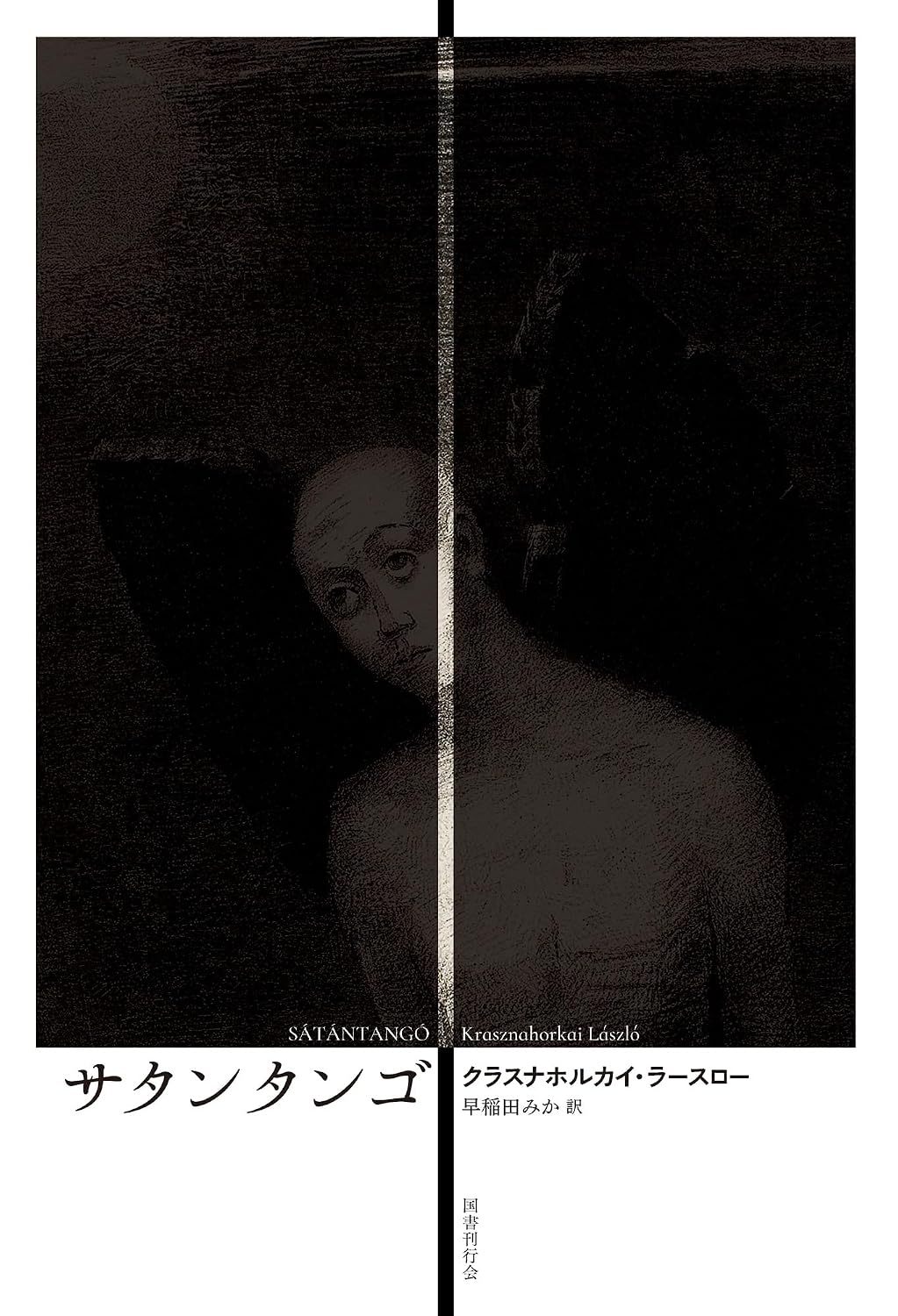 豊﨑由美×佐々木敦、海外文学レスキュー隊