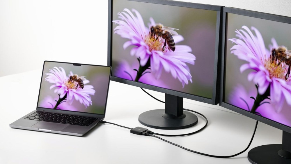 エレコム、HDMI 2ポート変換アダプター登場の画像