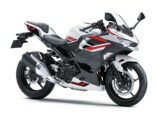 Ninja 250(パールロボティックホワイト×メタリックマグネティックダークグレー)