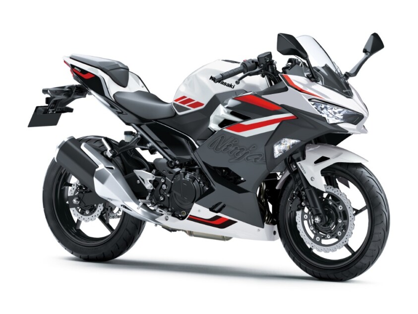 Ninja 250(パールロボティックホワイト×メタリックマグネティックダークグレー)