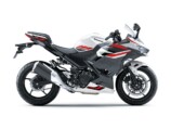 Ninja 250(パールロボティックホワイト×メタリックマグネティックダークグレー)