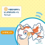 ポケモンのヒレが動くぬいぐるみ登場の画像