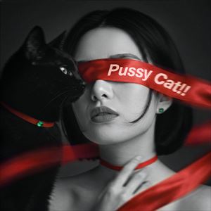 「Pussy Cat!!」ジャケット