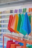 韓国POPUP『ハップルFES』京都伊勢丹で開催の画像