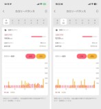 カロリーバランス　アプリに表示されている画面