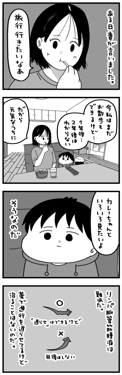 【漫画】難病の妻との旅行の画像
