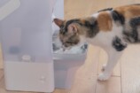 利用イメージ