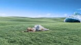 Grimes×さたぱんP「Miku-Maxxing」MV公開の画像