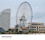 望遠撮影（3.5倍）　作例