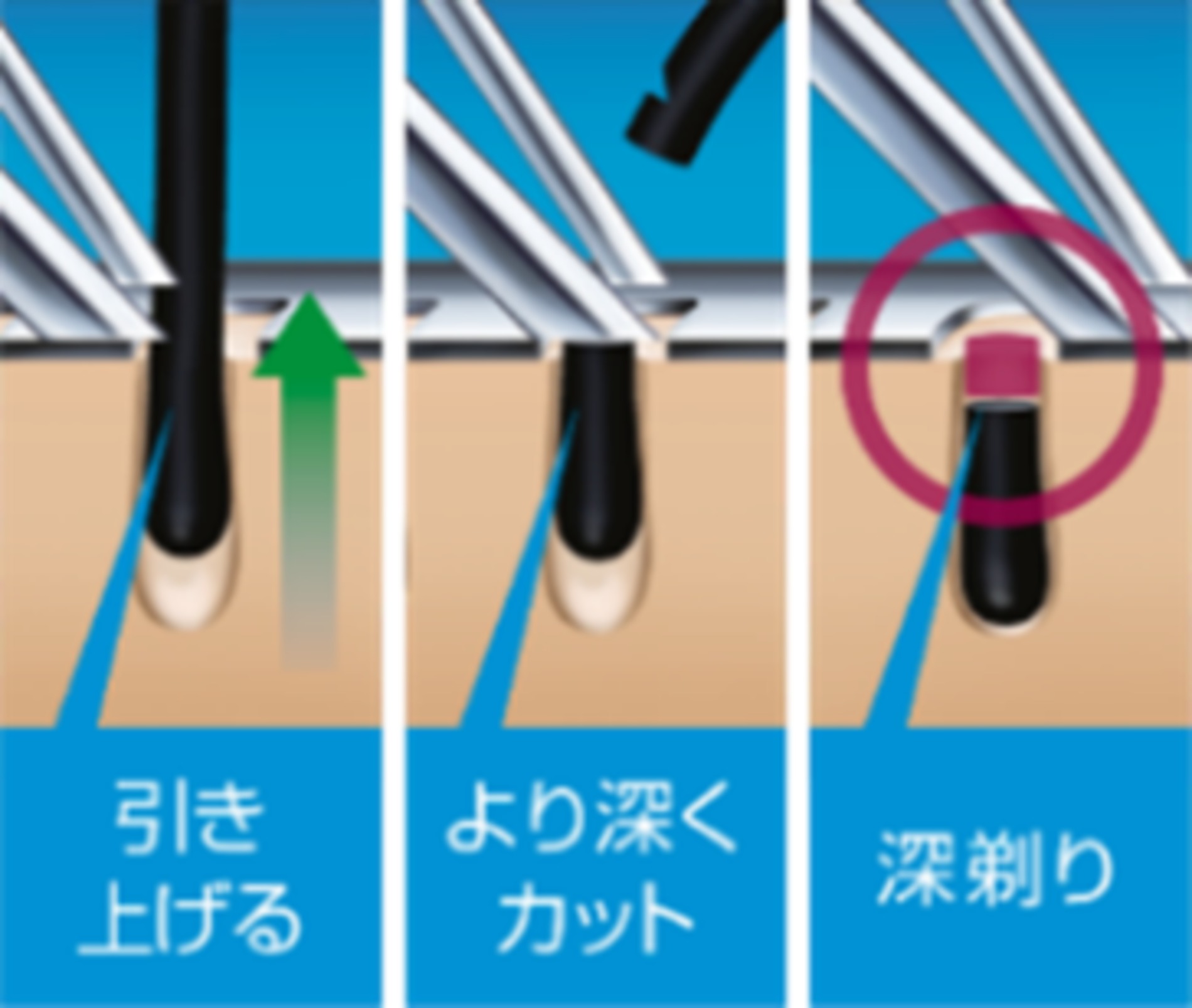 フィリップスの回転式コンパクトシェーバー登場の画像