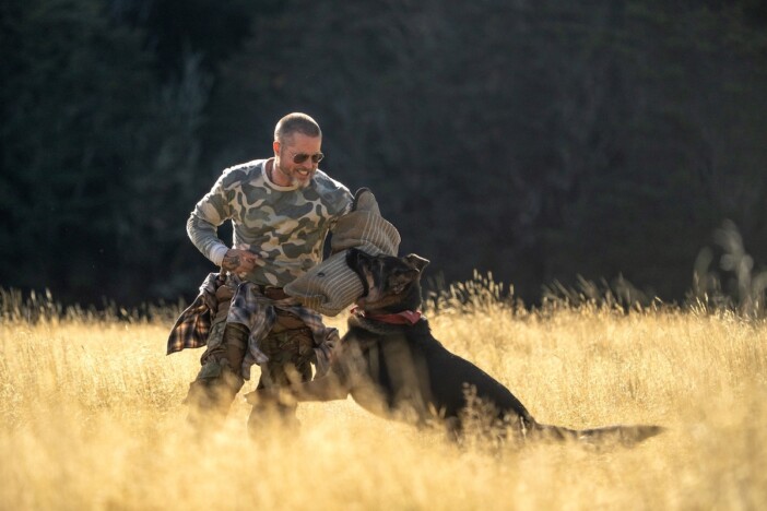 退役軍人と義足の愛犬の絆　ブラッド・ピット主演『ハート・オブ・ビースト』本予告公開