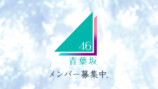 青葉坂46 メンバー募集告知画像