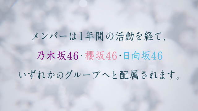 青葉坂46 CMカット