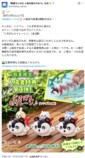 ナガノ、念願のプルバックカーを実現の画像