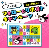 Xキャンペーン