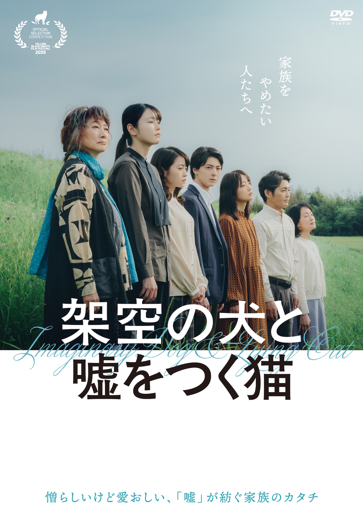『架空の犬と嘘をつく猫』DVD発売決定